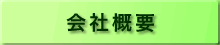 ЊTv